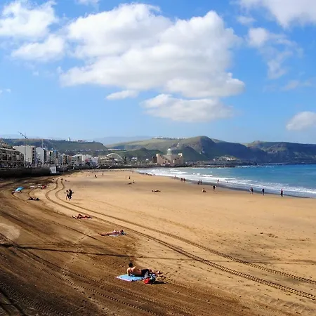 Coral Canteras Las Palmas / Gran Canaria