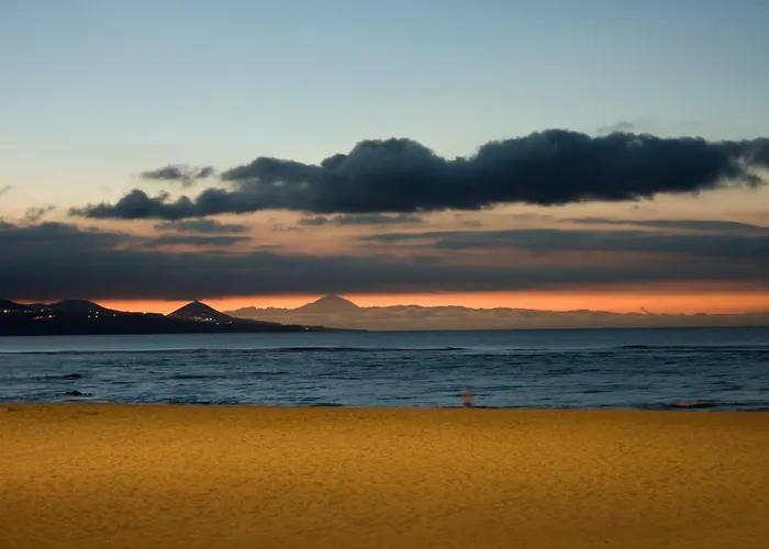Coral Canteras Las Palmas / Gran Canaria